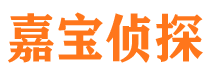 宁河外遇出轨调查取证